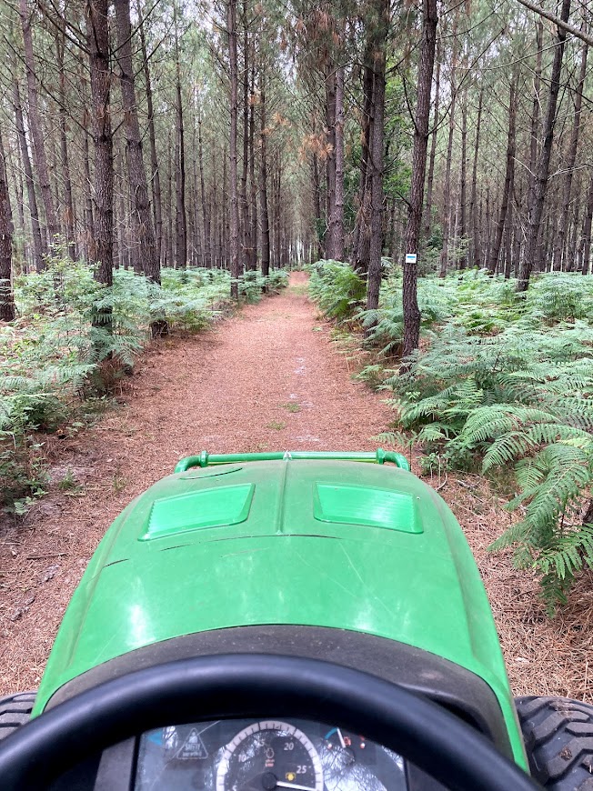 Entretien des voies vertes dans les Landes