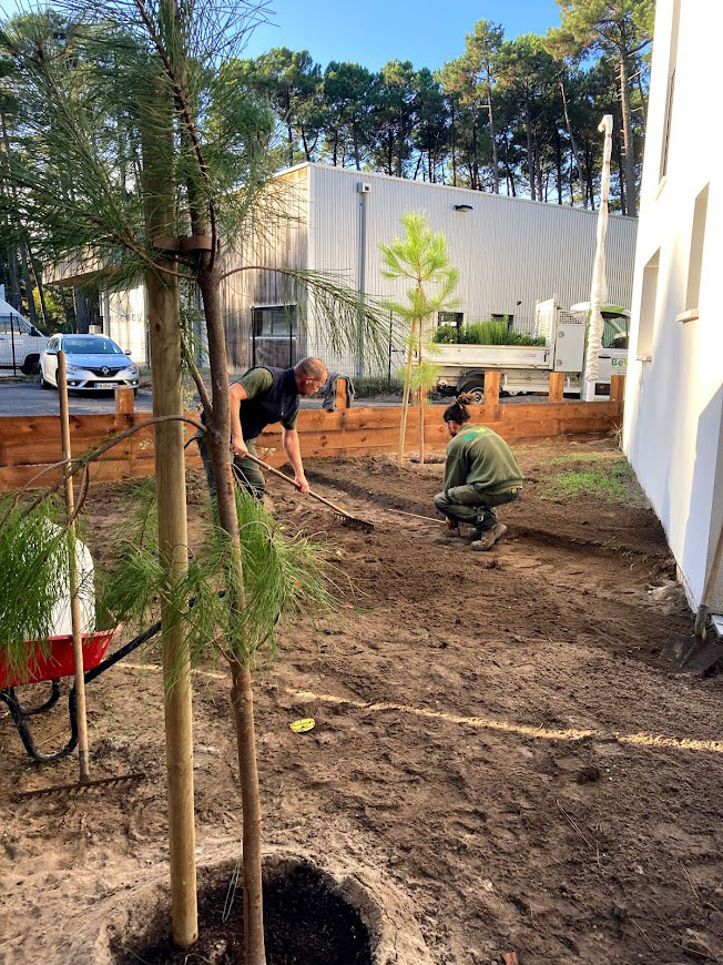 Plantations d'arbres et arbustes à Seignosse dans les Landes